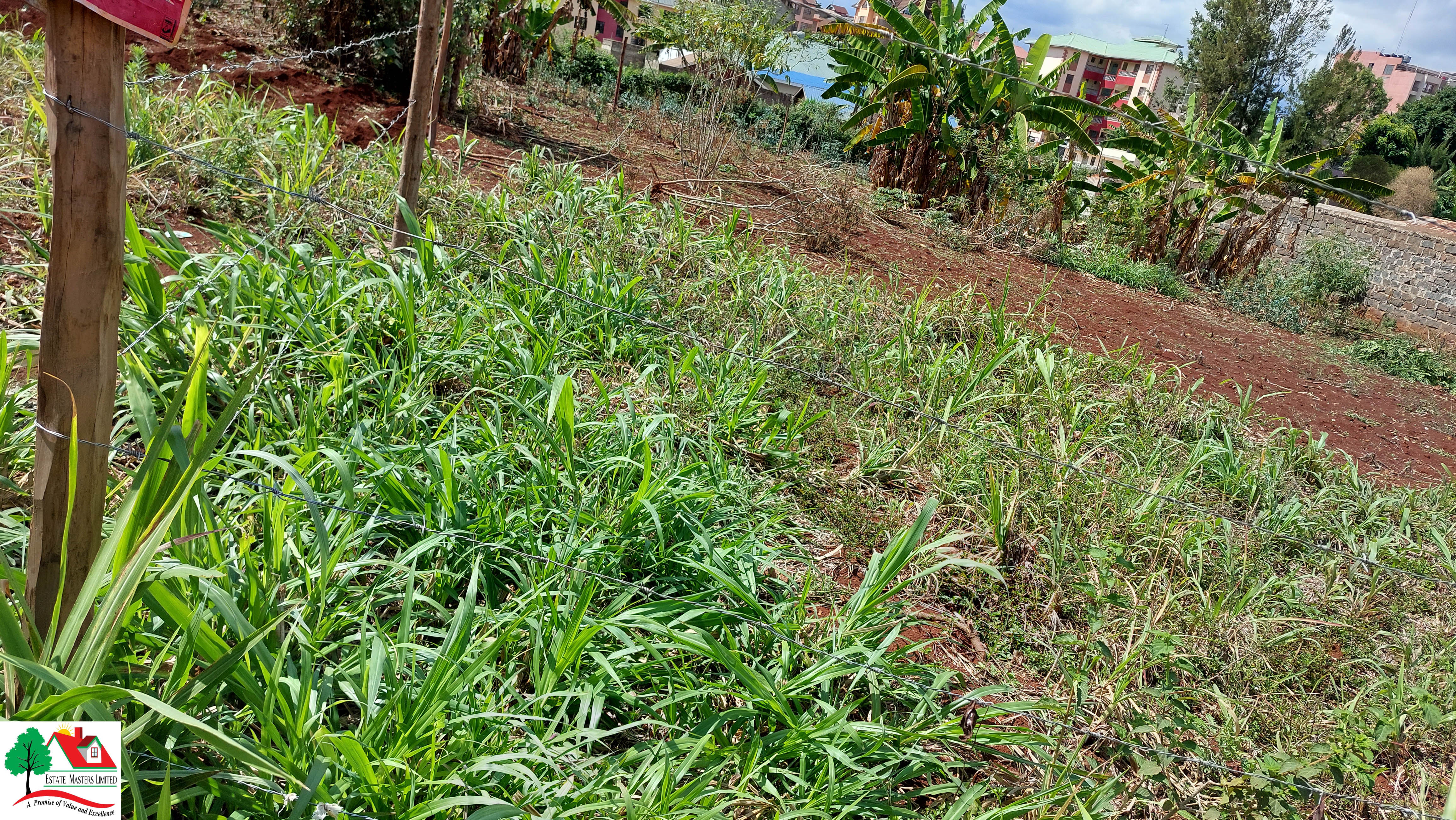 LAND FOR SALE